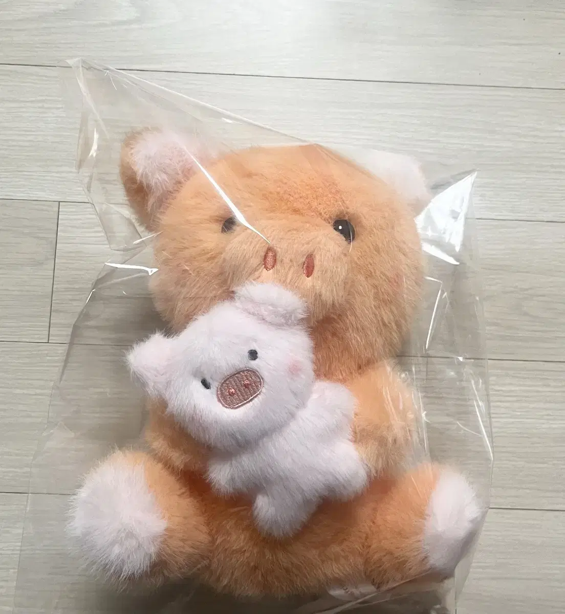 [선물 할인]_베이비피그