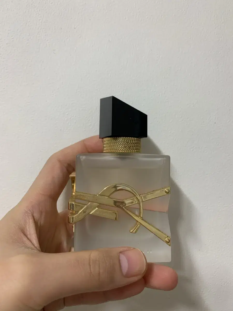 입생로랑 리브르 헤어미스트