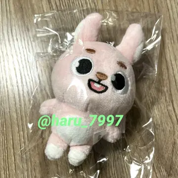DAY6 tour 원필 백참 pil 공식 굿즈 wonpil
