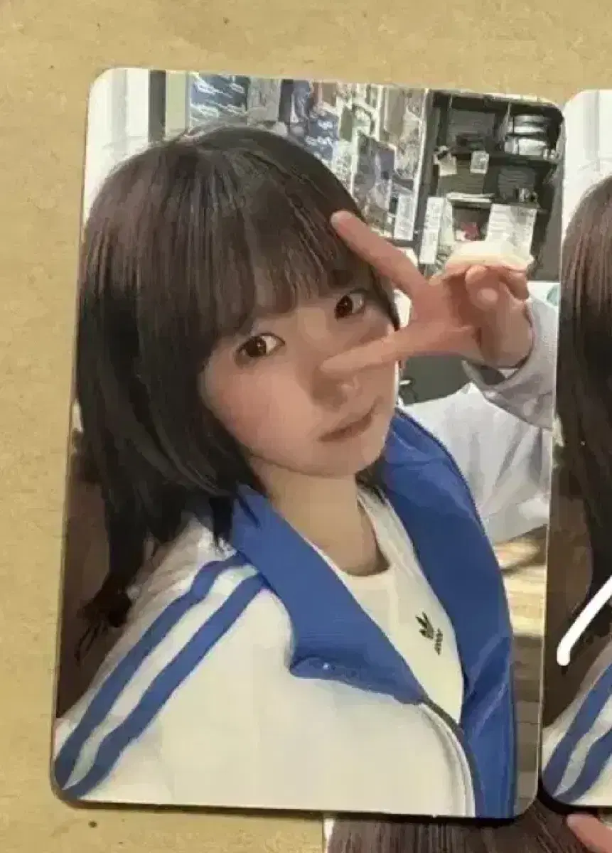 세이마이네임 샤랄라 말랑 포카 양도(5장 이상)