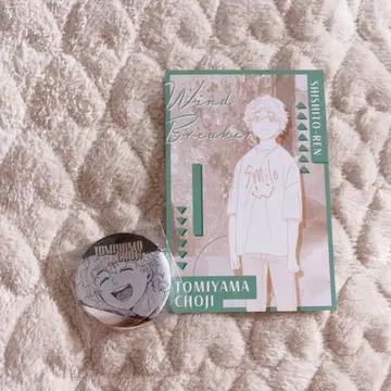 윈브레 토끼귀 산정 묶음 판매