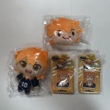 하이큐/히나타 쇼요