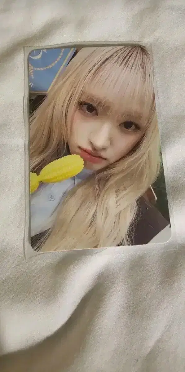 아이브 ive 팬콘 2일차 다이브존 포카 - 리즈