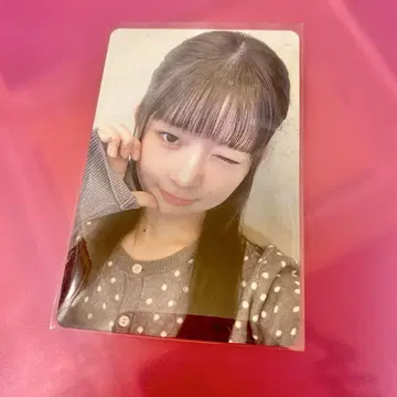 IVE SCOUT 회장에서 한정판 고베 4/26 레이