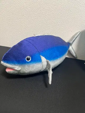 부르부르 물고기 참치