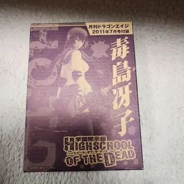 HIGH SCHOOL OF THE DEAD 독지마 사에코 피규어