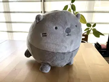 무엇이든 생물 BIG 봉제 인형 랏코