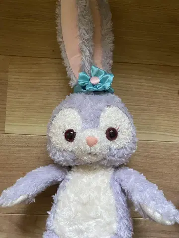 스텔라 루
