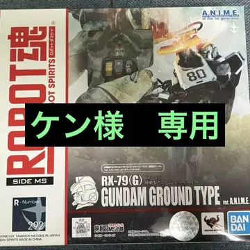 로봇혼 육상전형 건담 RX-79(G)