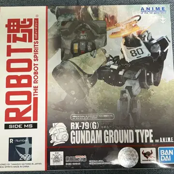 로봇혼 육상전형 건담 RX-79(G)