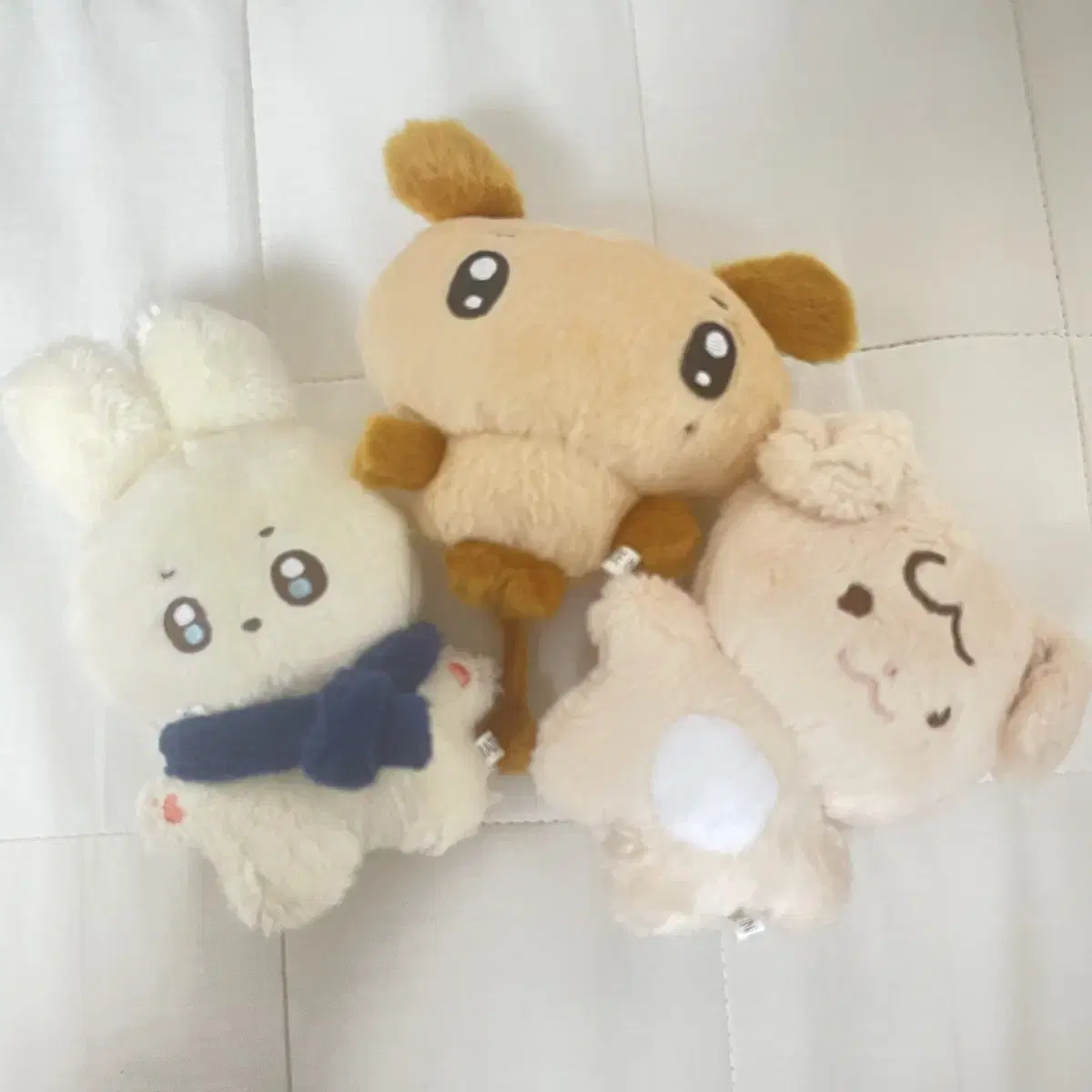세븐틴 도겸 인형 도토리 댕겸 탄빵겸