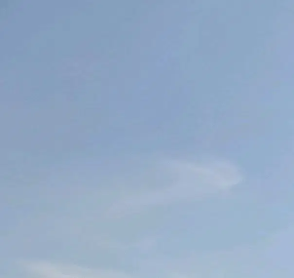 희귀 매물 포세린 양배추 인형 블루