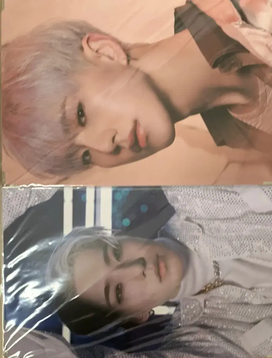 세븐틴 호시 스파이더 프리미엄 포토 일괄