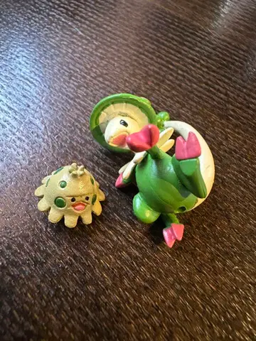 포켓몬 키노가사 키노코코