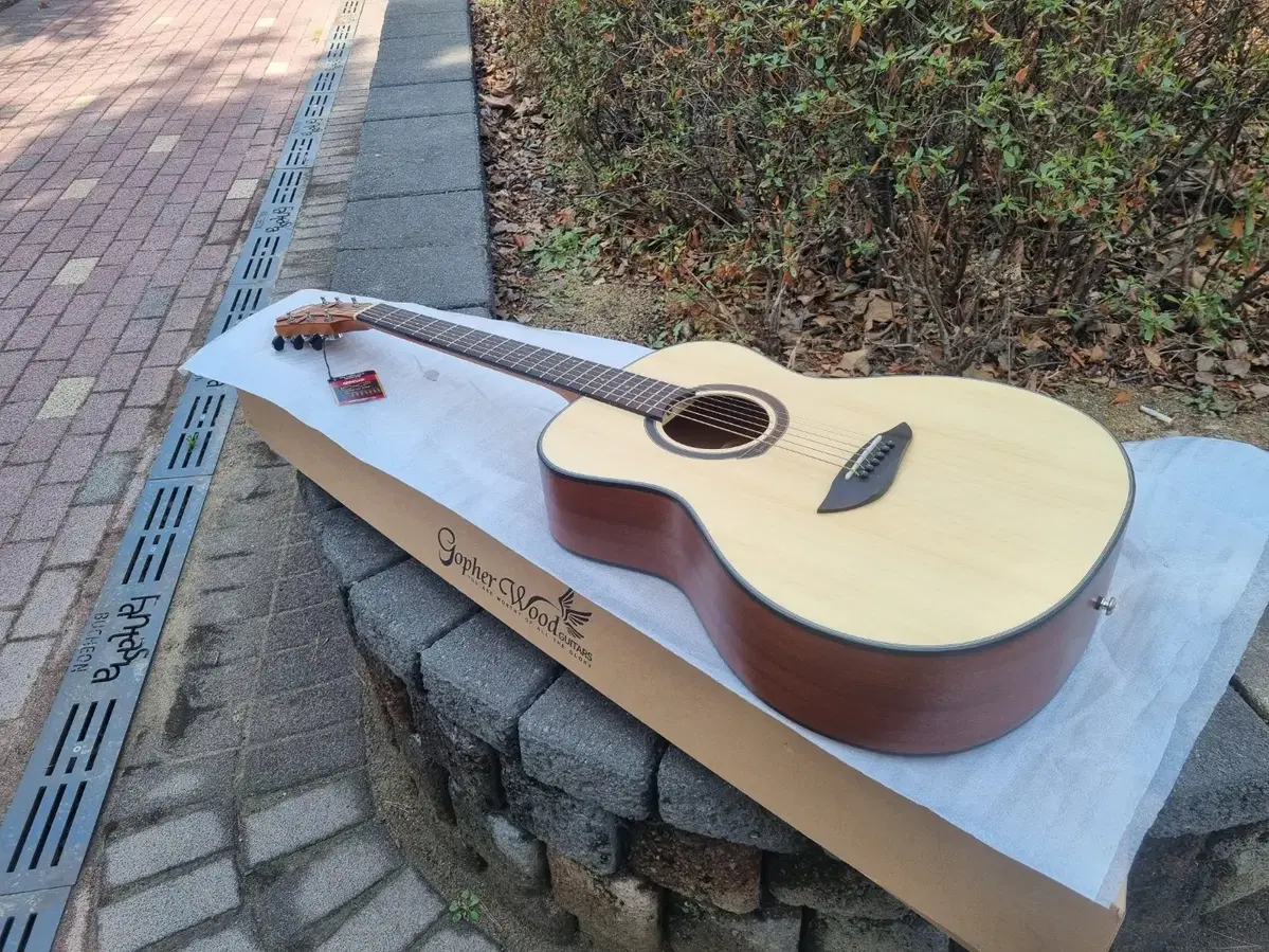 [Exhibit 30% off] Sells entry-level Min Tong Guitar Gopherwood OM Body Guitar