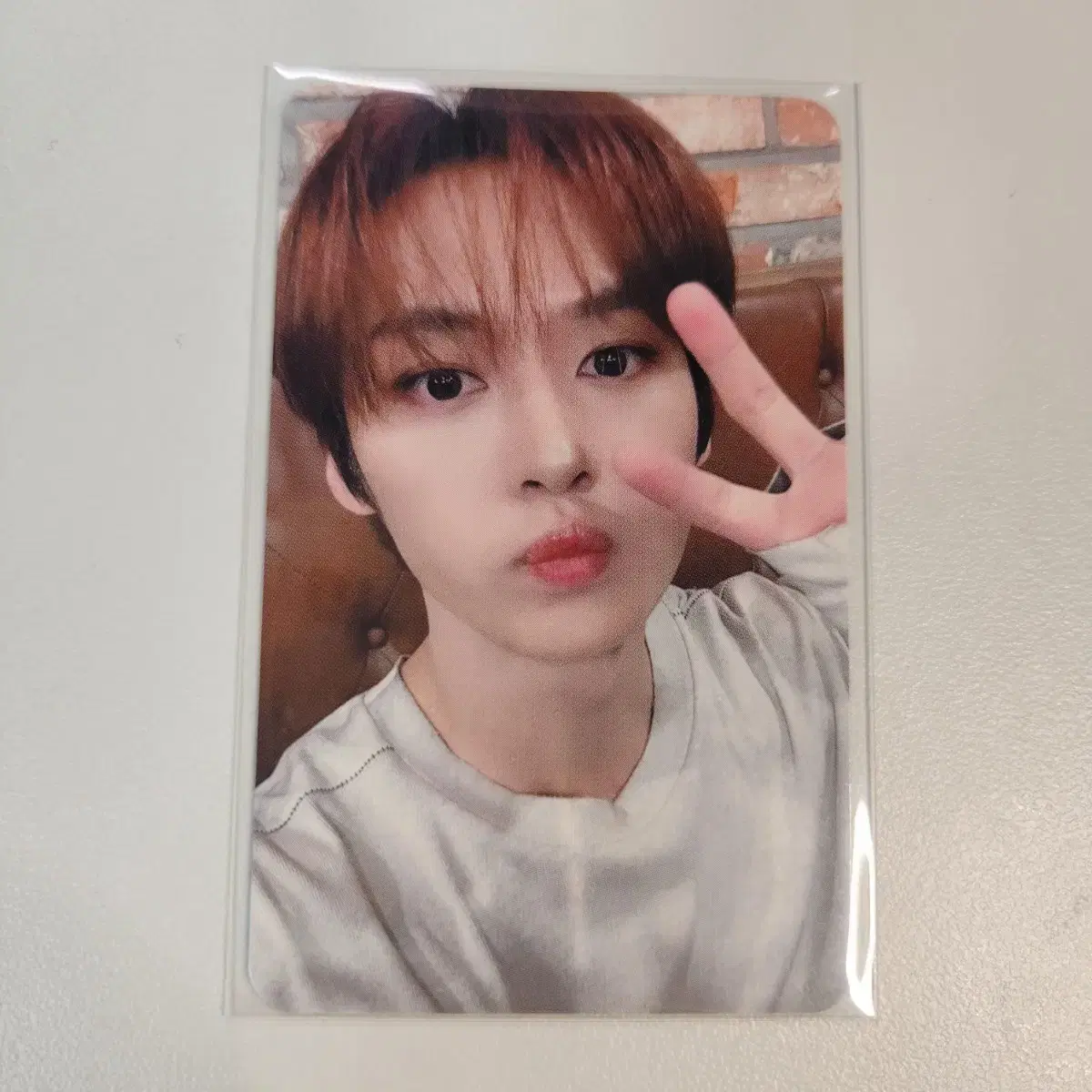 스키즈 리노 돔투어 나고야 포카