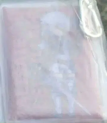 파이널 판타지 14 클리어 멀티 케이스 아리제