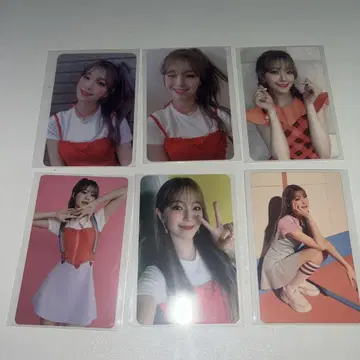 fromis_9 지혼 fun기 트레이딩 카드
