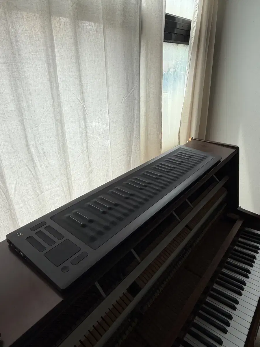롤리 씨보드 roli seaboard rise 49
