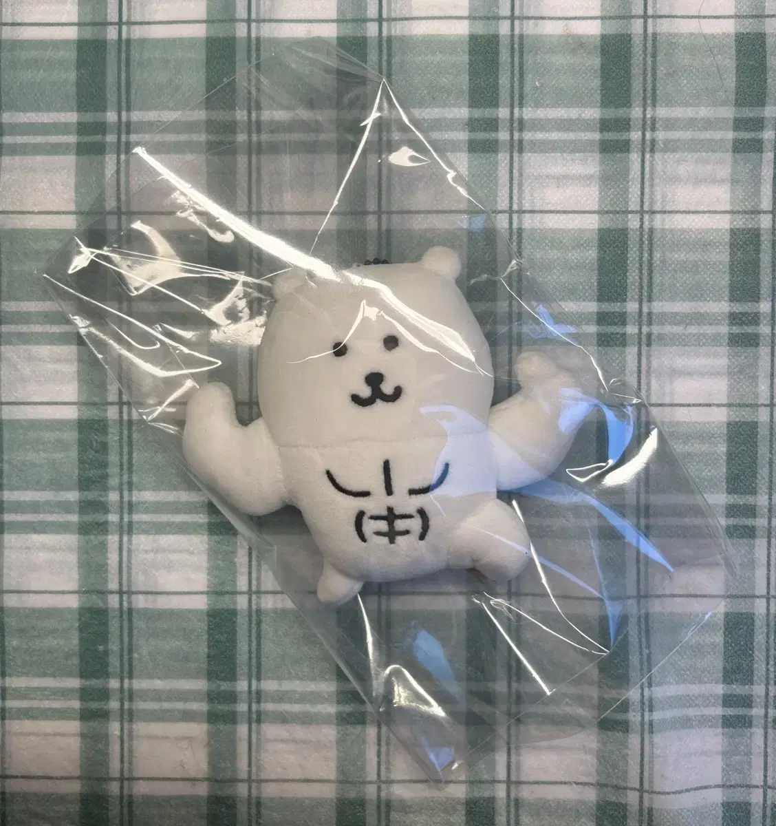 근육곰 농담곰