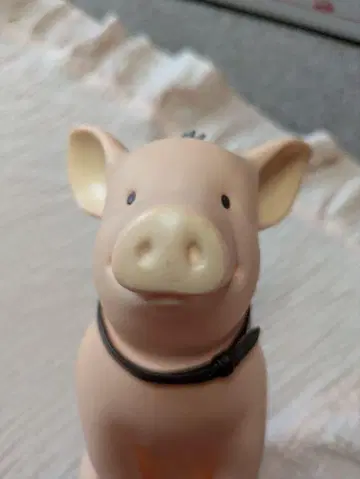 베이브(돼지) 저금통
