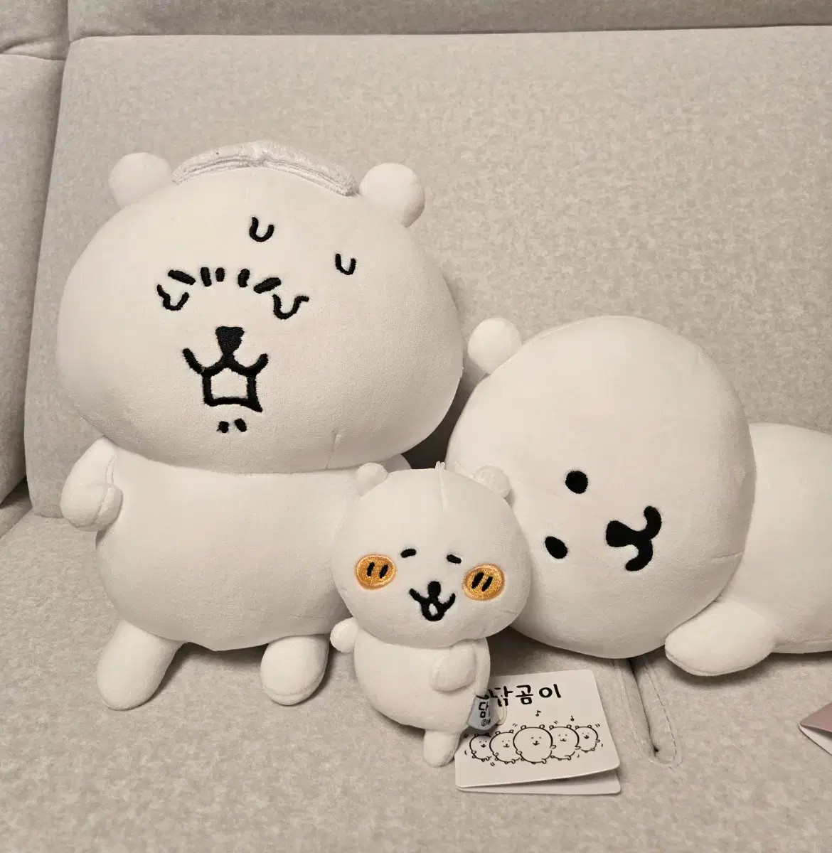 정품) 일괄가격! 농담곰 3종 세트 담곰이 당곰이 담곰 인형 키링 피규어