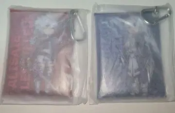 파이널 판타지 XIV 클리어 멀티 케이스 아리제 알피노