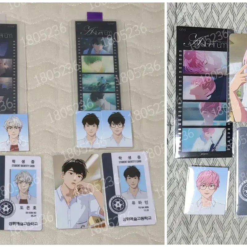 [５点]　PLAVE 学生証　ID カード　6th summer 5人　コンプ Plave sixth yeoreum yejun nam yejun Student ID photocard wts