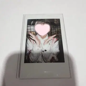 라부시쿠 유손 폴라로이드 봄방학 메이한 오사카