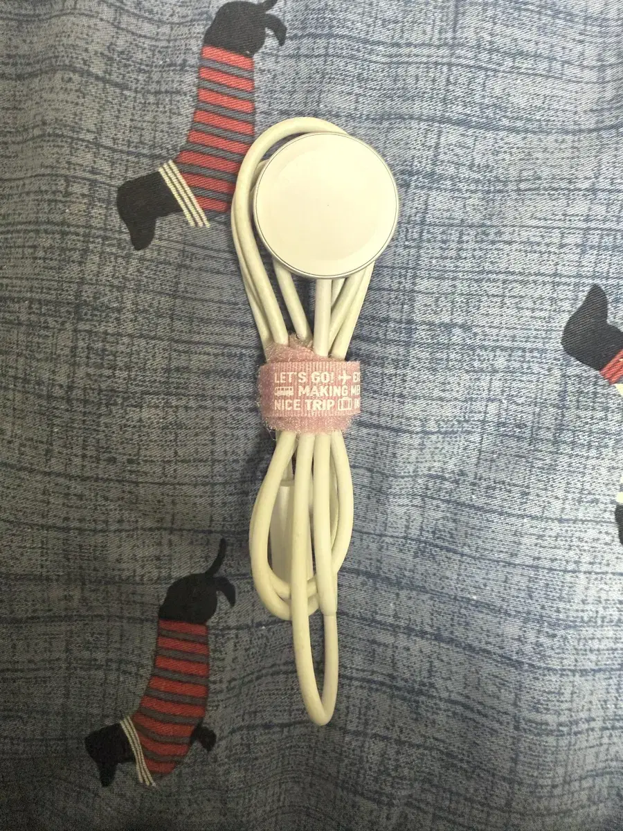 Original Apple Watch charger