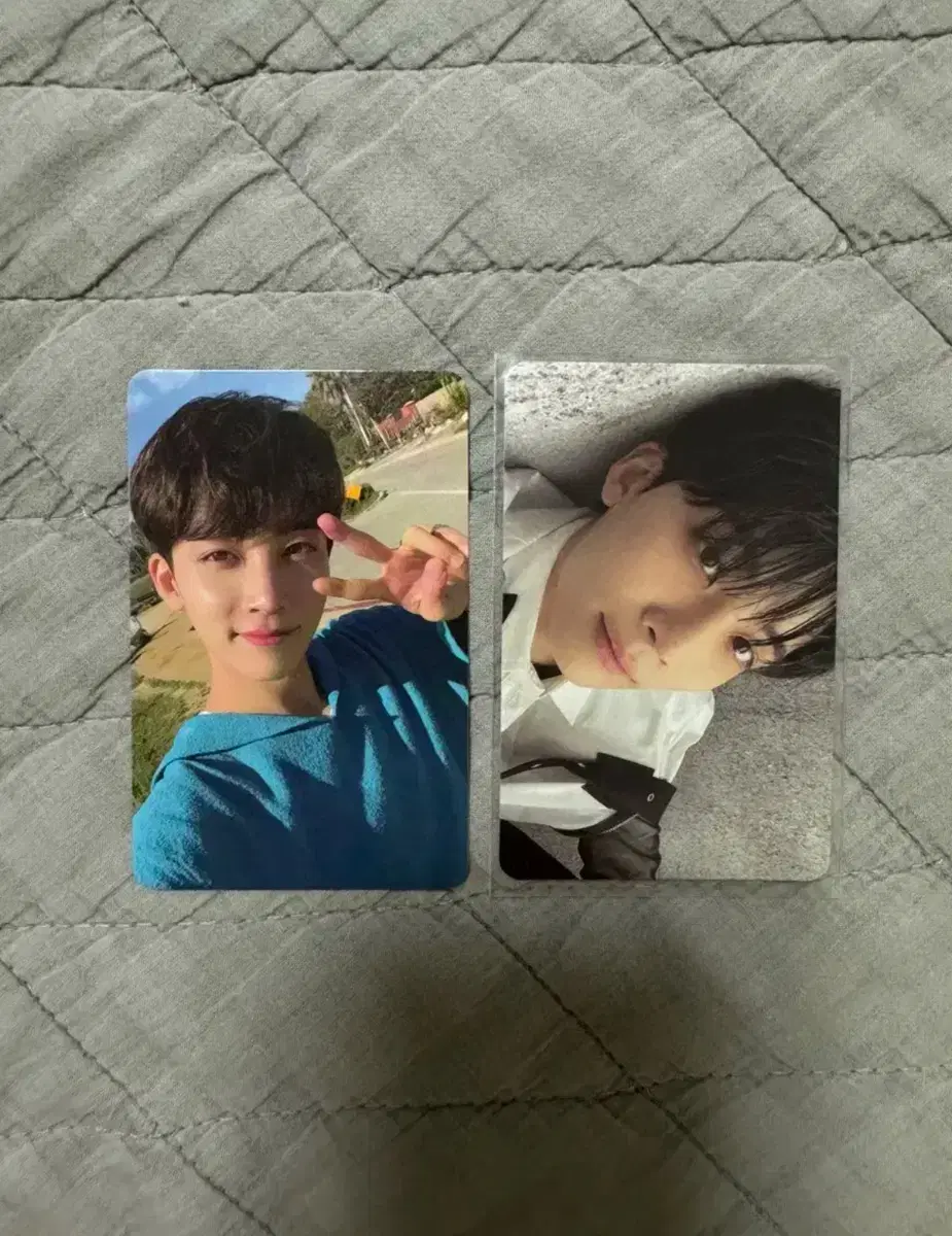 세븐틴 정한 포카 양도합니다