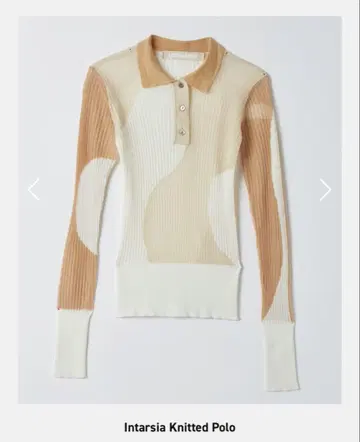 leinwande 인타르시아 니트 폴로 BEIGE