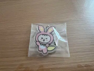 세븐틴 미니 틴 정한 JJONGTORAM