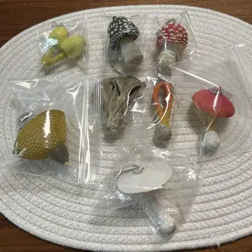 버섯 가챠가챠