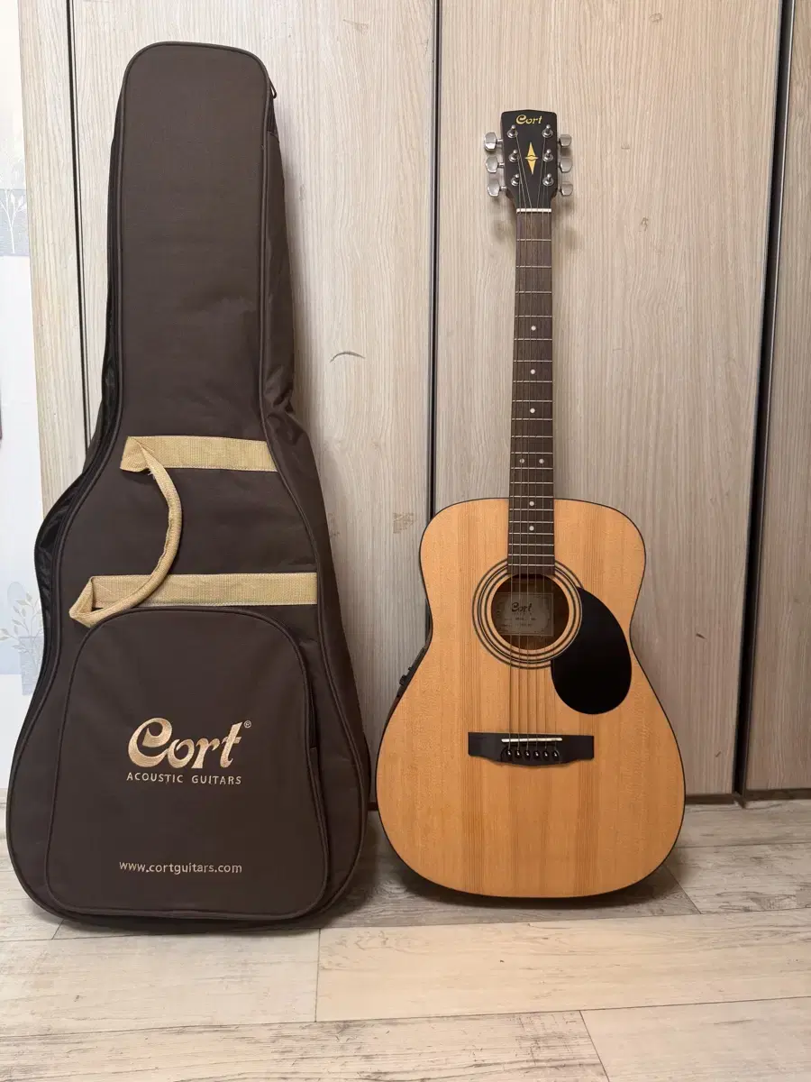 Colt Guitars AF510