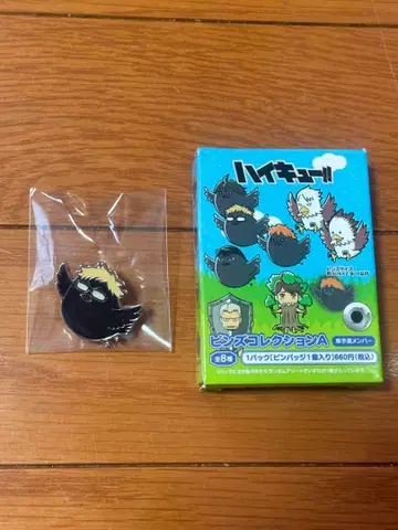 하이큐!! 핀즈 컬렉션 A 츠키 유리 츠키시마 케이