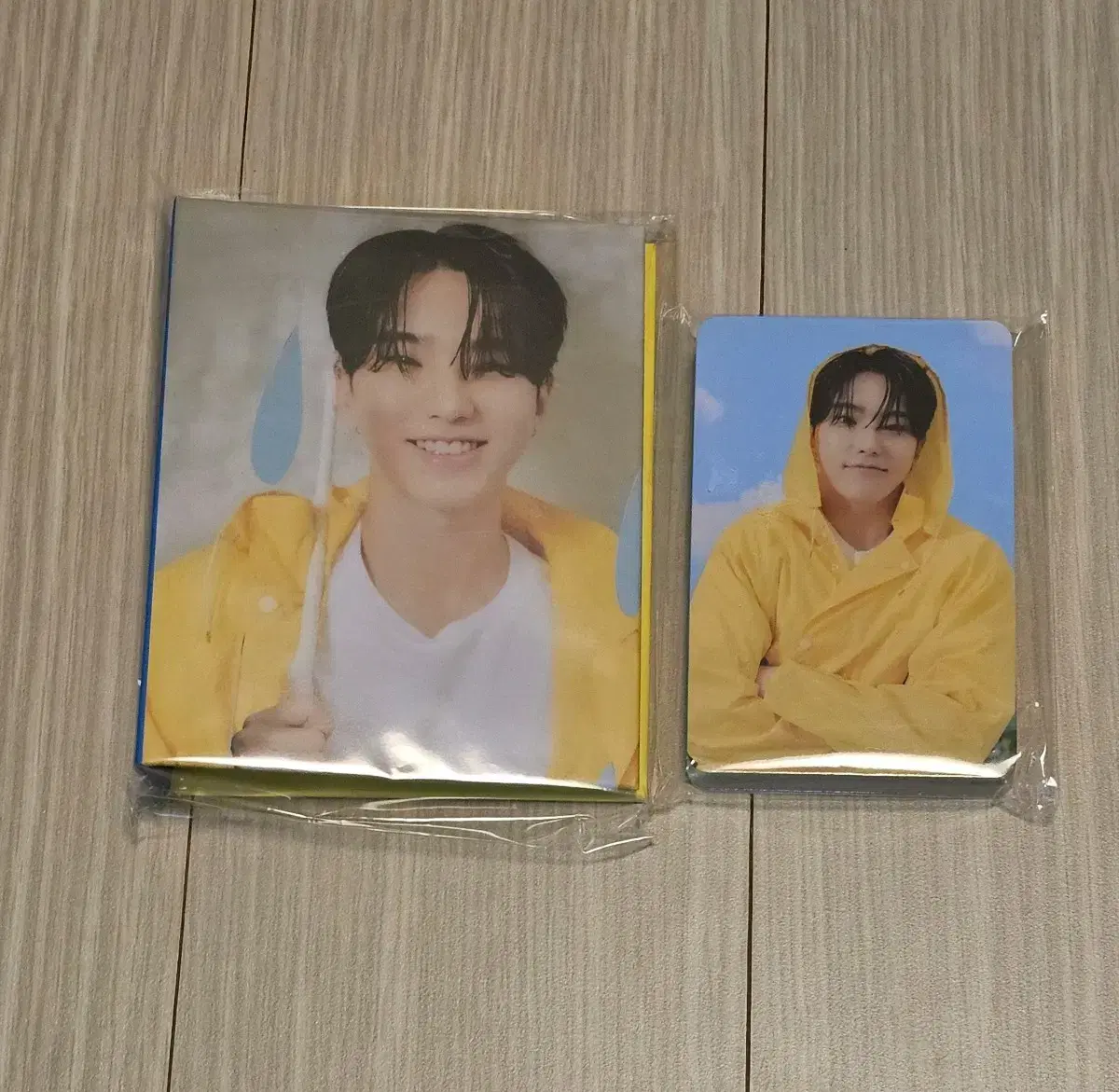 세븐틴 음악의신 호시 캐럿반