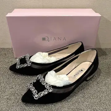 Diana 로우 힐 펌프스