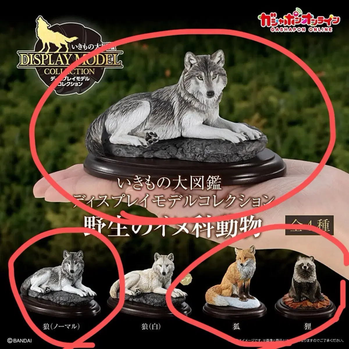 TAKAPO Unsealed) VANDAI Creature Atlas Wolf Fox Raccoon Premium Gacha Figure