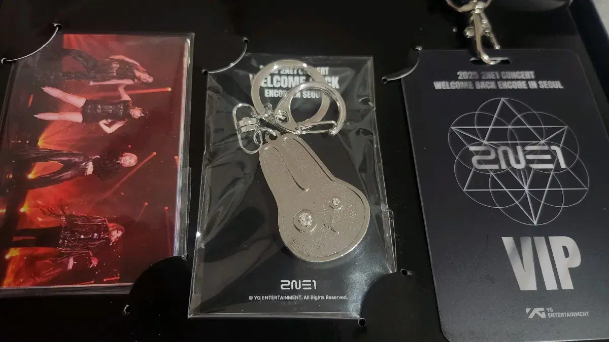 2NE1 Concert VIP pre-order benefit Merchandise poca wts Sells