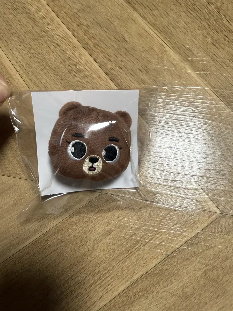 데이식스 일본 뱃지 방이