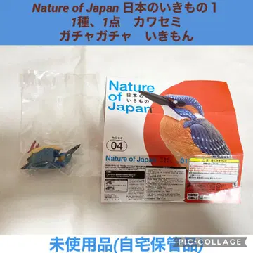 일본의 생물 1개 카와세미 가챠가챠 이키몬 네이처 테크니컬러