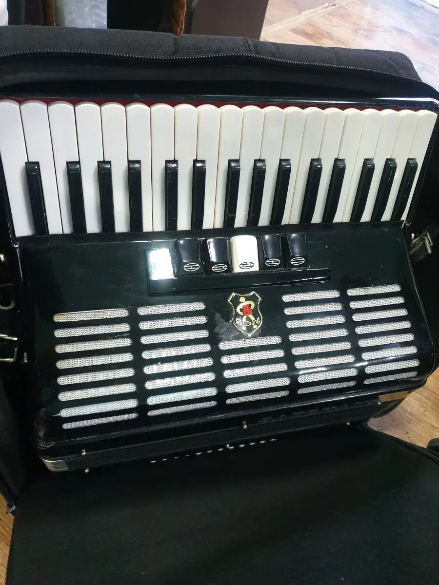 48 vahn of chanting accordion