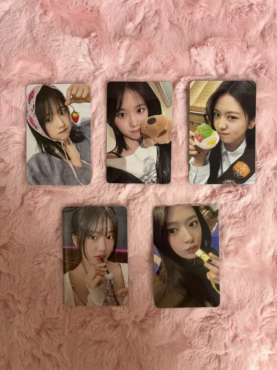 아이브엠파시 아이브카피바라 다이브존유진 아이브엠디 유진포카
