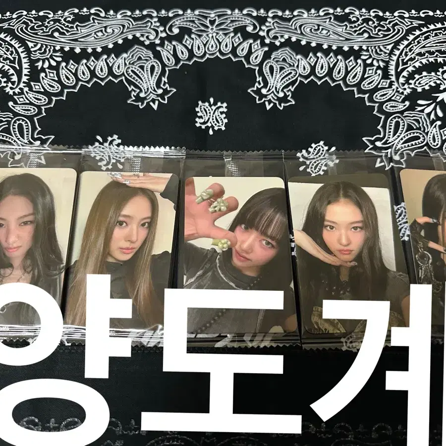 MEOVV | 미야오 MEOVV Everline 1st Offline Fansign