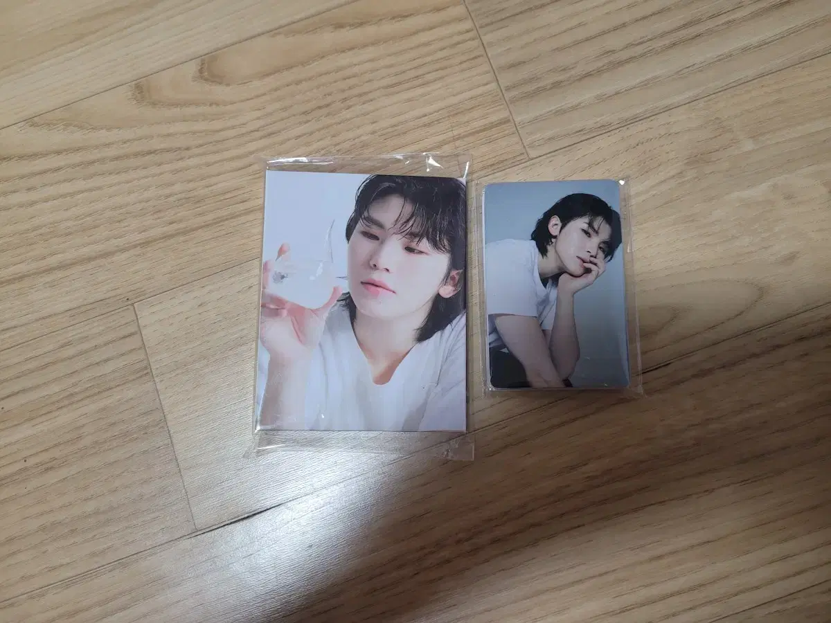 세븐틴 우지 캐럿반