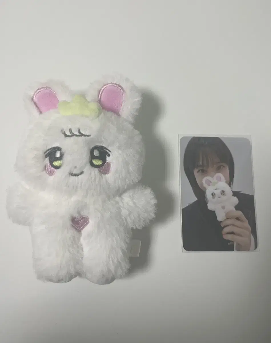 박은빈 공식 인형 비닝 포카