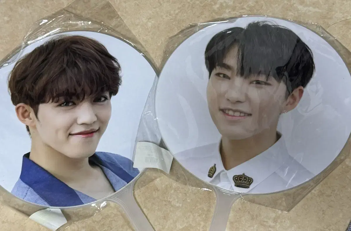 세븐틴 에스쿱스 호시 어이디얼 컷 우치와 양도