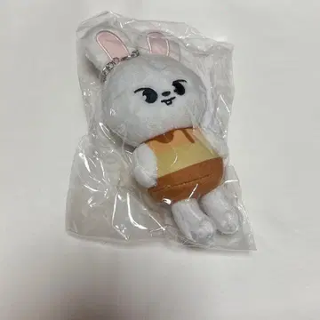 straykids 스키즈 리 비트 푸딩 봉제 인형 키링