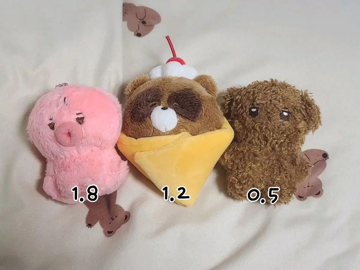 떤코 쪼레페 더보이즈 선우 인형